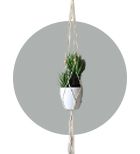 Wall Planters - By wooden street