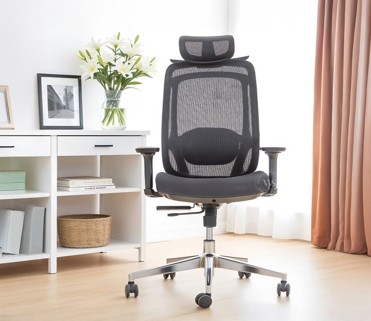 Debra Black Adjustable Ergonomic Office Chair with Recline &amp; Slide - Buy Office Chairs Online