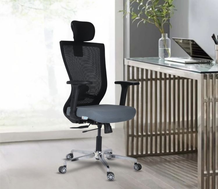 Omega Premium High Back Mesh Ergonomic Office Chair Ergonomic chair with padded seat and armrests