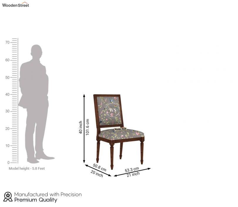 Dimension Image 1 - Shell Without Arm Dining Chair - Set of 2 (Grey Robins)