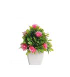 Plastic Pots