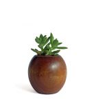 Wooden Pots