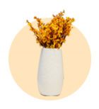 White Vases