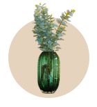 Glass Vase