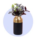 Wooden Vase